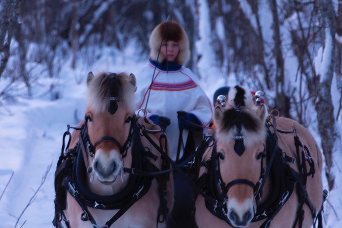 Sleigh Ride w/ Tapas Meal - Experience Arctic Farm Life - Sami lavvo dining: cold tapas plus warmth by the fire