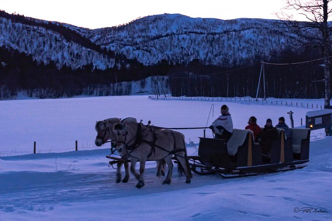 Sleigh Ride w/ Tapas Meal - Experience Arctic Farm Life - Price and value: what $236.79 per person buys you