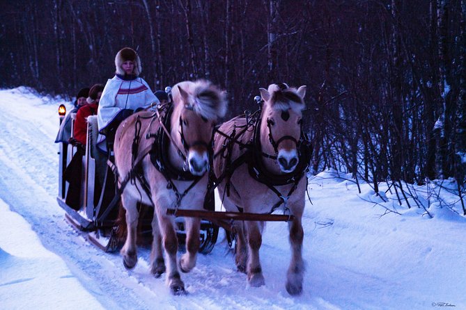 Sleigh Ride w/ Tapas Meal - Experience Arctic Farm Life - What to wear: warm clothing is included, but you still need layers