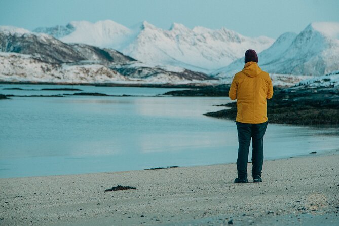 Small Group Arctic Fjords Road trip with Scenic Picnic - Why This Tromsø Arctic Fjords Road Trip Feels Like a Local Day Out