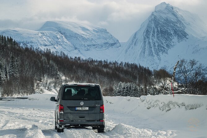 Small Group Arctic Fjords Road trip with Scenic Picnic - Stop for Wildlife Spotting and Scenic Pull-Off Time