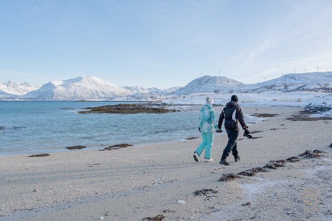 Small Group Arctic Fjords Road trip with Scenic Picnic - Kvaløya Island: Mountains, Fjords, Arctic Beaches, and Frozen Lakes