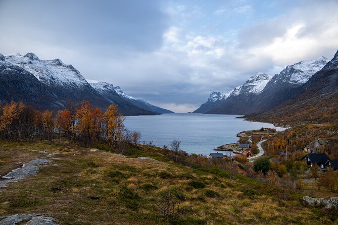 Small Group Arctic Fjords Road trip with Scenic Picnic - The Picnic That Actually Matters: Organic Vegan Sandwich, Cookies, Hot Drinks