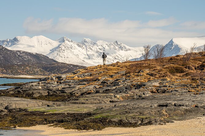 Small Group Arctic Fjords Road trip with Scenic Picnic - Photo Perks and Small-Group Comfort (Max 8 Travelers)