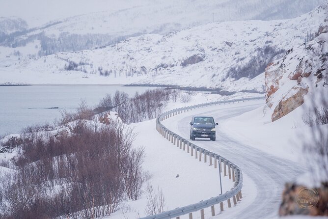 Small Group Arctic Fjords Road trip with Scenic Picnic - Weather Reality and What to Pack for a 5 to 6 Hour Arctic Day