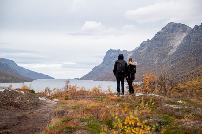 Small Group Arctic Fjords Road trip with Scenic Picnic - Price and What You Get for Your Money at $161.84