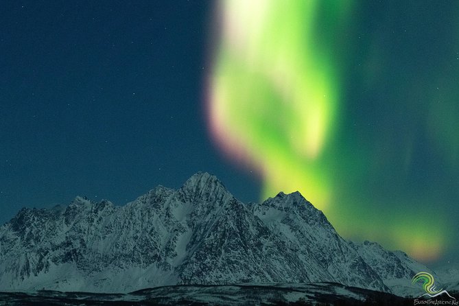 Small-Group Northern Lights Tour from Tromso with Photos - Price and value: what $153.25 really buys you in the dark