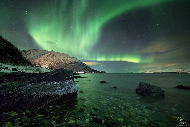 Small-Group Northern Lights Tour from Tromso with Photos - How the guide improves your odds when the aurora fights back