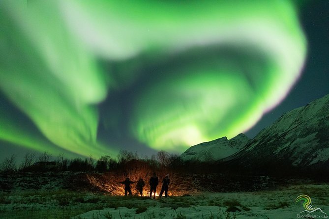 Small-Group Northern Lights Tour from Tromso with Photos - Comfort and the small-group vibe: good, but it’s still an Arctic expedition