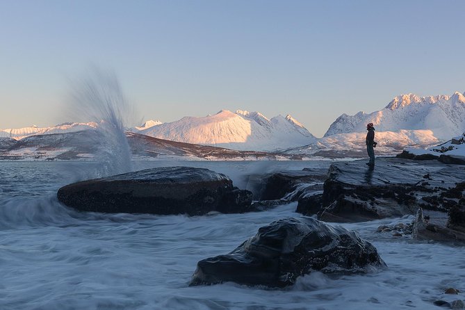 Small-Group Norwegian Fjords Tour from Tromso with Photos - Professional Photos: How the Guide Handles the Camera Work
