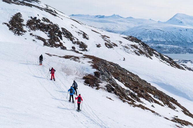 Small Group Snowshoe Hike in Tromso - Key highlights to know before you go