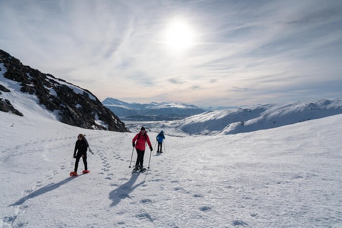 Small Group Snowshoe Hike in Tromso - Tromsø pickup to Kvaløya: the easy start that matters