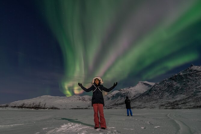 Small Group Tromsø: Northern Lights Chase with Photos and Dinner - Guides who explain the aurora, not just point at it