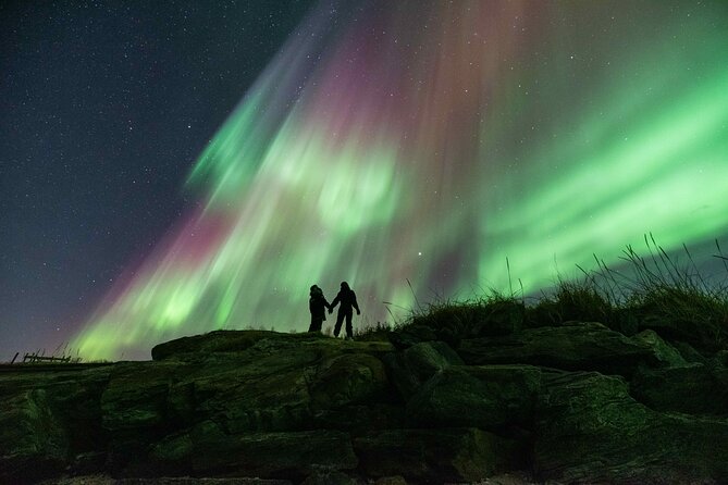 Small Group Tromsø: Northern Lights Chase with Photos and Dinner - From Kaigata 4, then out into the dark