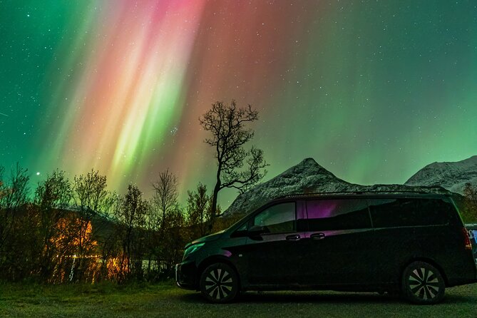 Small Group Van Journey in Search of the Northern Lights - Key takeaways before you go