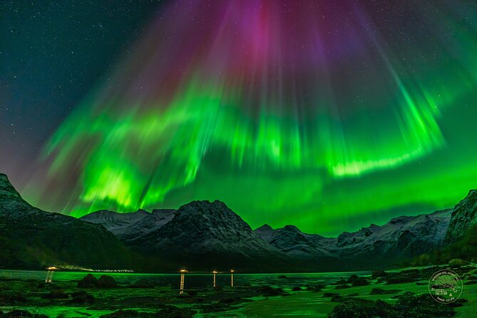 Small Group Van Journey in Search of the Northern Lights - Why this Tromso Northern Lights van hunt feels different