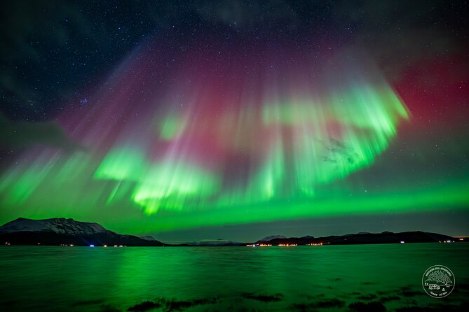 Small Group Van Journey in Search of the Northern Lights - Food, hot drinks, and the campfire reset