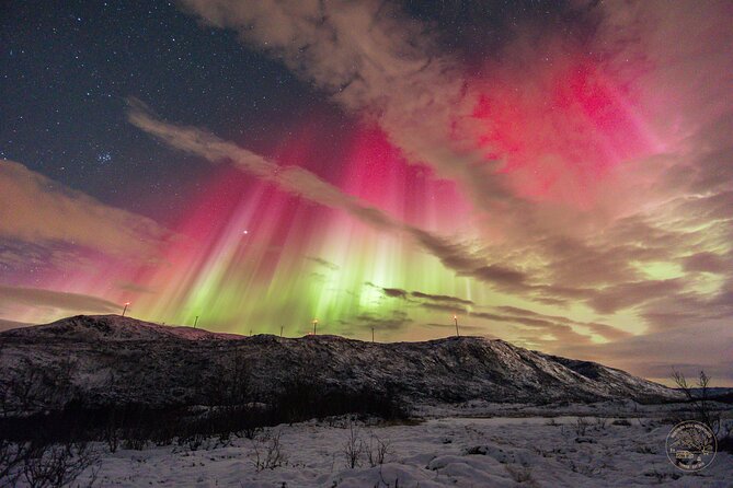 Small Group Van Journey in Search of the Northern Lights - Where you meet and where you end up in Tromso