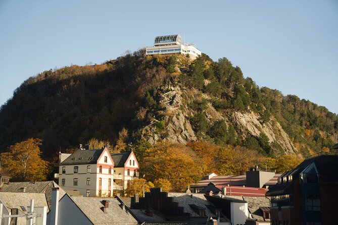 Small-Group Walk in Ålesund: Art Nouveau & Insider Tips - Kongens gate: where Art Nouveau details become a street-level story