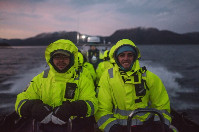 Small Group Whale Watching by RIB - What you can realistically spot in Altafjord