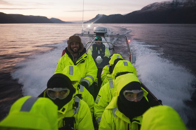Small Group Whale Watching by RIB - Meeting point at Markedsgata 6 and what to do before you go