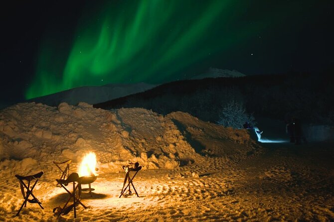 Small Northern Lights Tour Max 8 Guests Pickup and Photography - Campfire warm-up: hot chocolate, grilled corn, and marshmallows for real