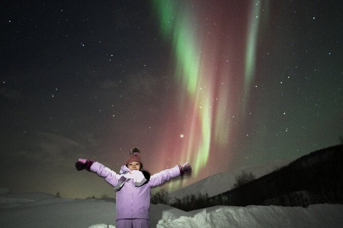 Small Northern Lights Tour Max 8 Guests Pickup and Photography - Who this small-group northern lights tour fits best