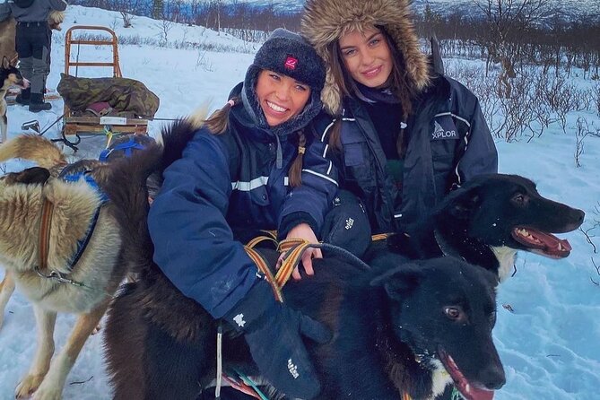 Small scale and Intimate Wilderness Dog Sledding 2h from Tromsø - Bonfire lunch and stories: when the snow pause actually feels nice