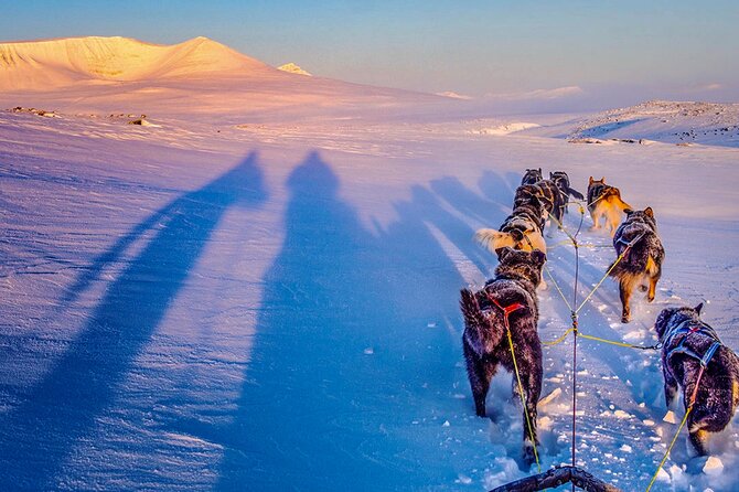 Small scale and Intimate Wilderness Dog Sledding 2h from Tromsø - Meeting the huskies first: warm drinks, quick bonding, and real kennel time