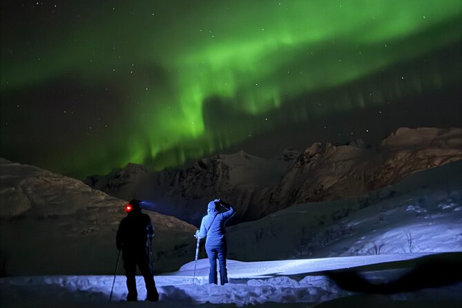 Snowshoe Expedition with Local Guides in Artic Terrain - Key Highlights You’ll Actually Care About