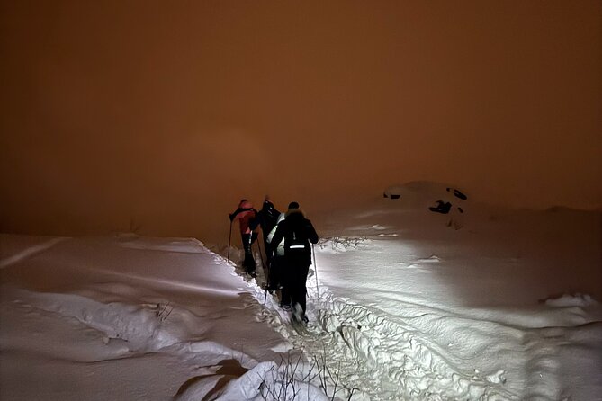 Snowshoe Expedition with Local Guides in Artic Terrain - What Happens at the Summit: Hot Drinks, Snacks, and Stopping Time