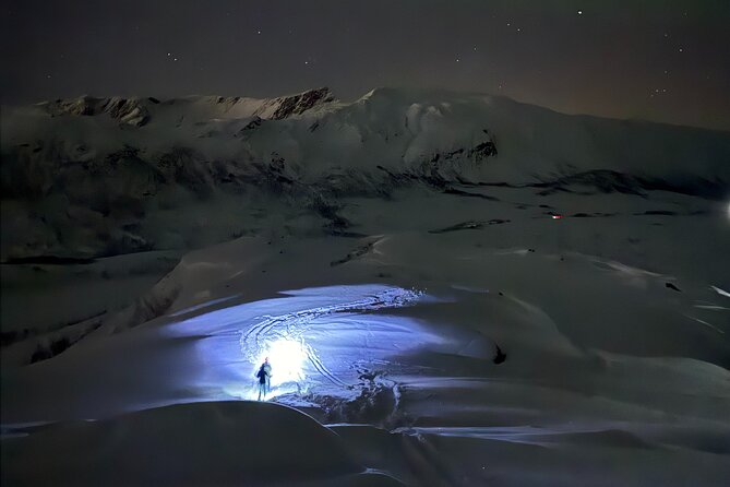 Snowshoe Expedition with Local Guides in Artic Terrain - Meeting Point and Getting There From Fredrik Langes gate