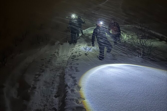 Snowshoe Expedition with Local Guides in Artic Terrain - Price and Value: Is $192.48 Worth It?