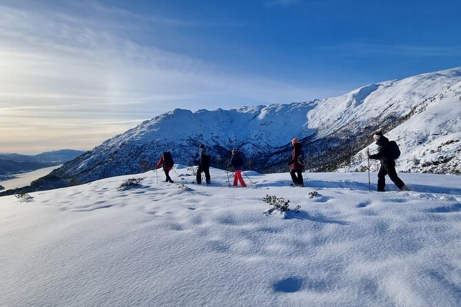 Snowshoe hiking in Bergen - Public tour - Key points before you go