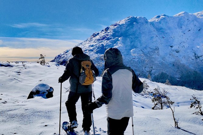 Snowshoe hiking in Bergen - Public tour - The warm drink and Norwegian-style snack, why it’s not just a perk