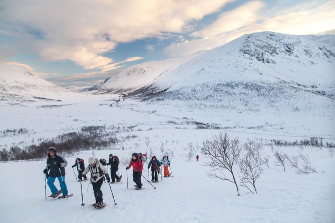 Snowshoe Hill Hike in Tromsø - Key points to know before you go