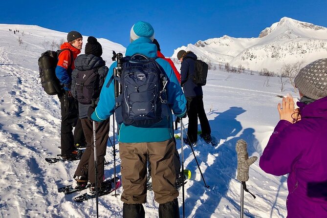 Snowshoe Hill Hike in Tromsø - Getting snowshoe-ready: the fast lesson before the climb