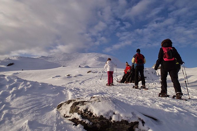 Snowshoe Hill Hike in Tromsø - The 40-minute fjord drive that actually sets you up for the day