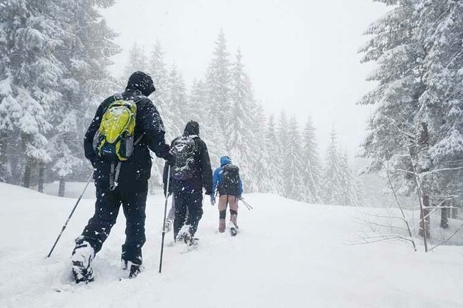 Snowshoe Tour in Winter Wonderland - Oslo - Key highlights at a glance