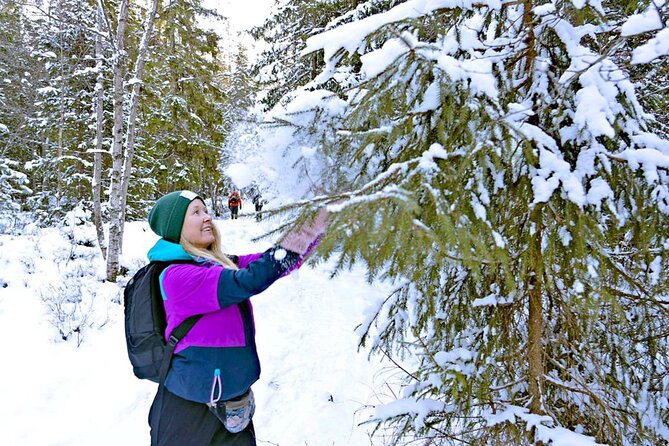 Snowshoe Tour in Winter Wonderland - Oslo - Winter woods time: what you might see and what the guide points out