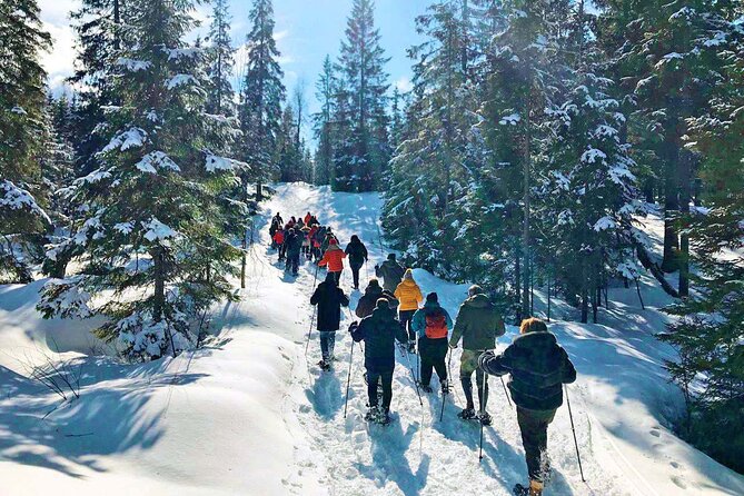 Snowshoe Tour in Winter Wonderland - Oslo - Timing and what your 9:55 am schedule actually means