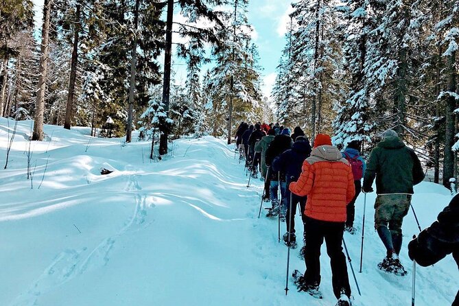 Snowshoe Tour in Winter Wonderland - Oslo - Gear and clothing: the comfort checklist that makes or breaks winter walks