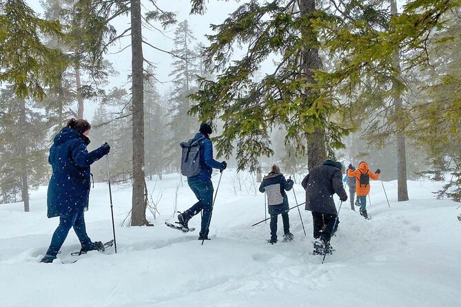 Snowshoe Tour in Winter Wonderland - Oslo - Value for $106.65: what you are paying for beyond the shoes