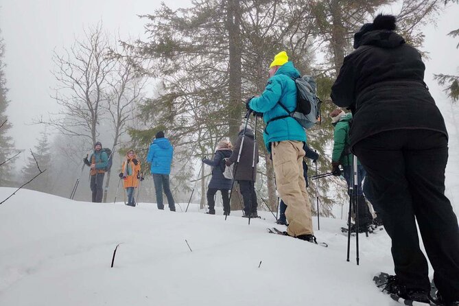 Snowshoe Tour in Winter Wonderland - Oslo - Who should book this snowshoe tour in Oslo?