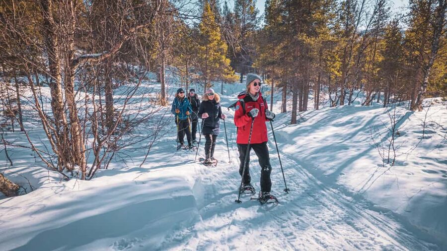 Snowshoeing Adventure to the Enchanting Frozen Waterfall - What the 4-hour outing feels like, from start to waterfall