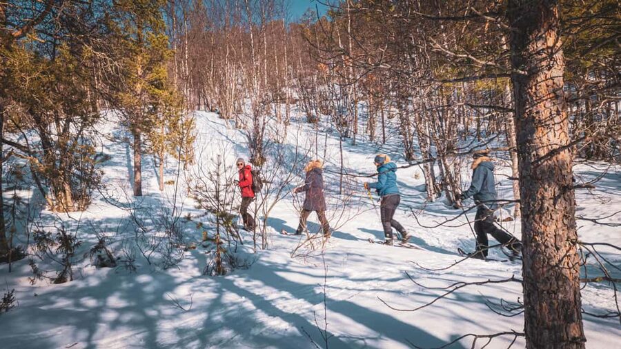 Snowshoeing Adventure to the Enchanting Frozen Waterfall - Price and value: what $187 buys you in real terms