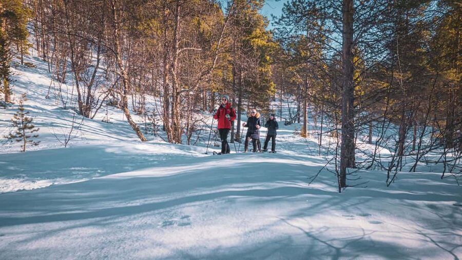 Snowshoeing Adventure to the Enchanting Frozen Waterfall - A few practical notes before you book