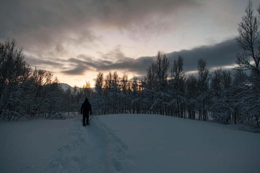 Snowshoeing and intimate discovery of Lofoten in French - French-guided snowshoeing that feels personal in Lofoten