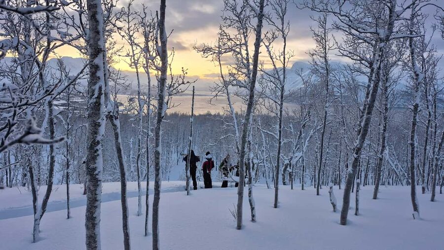 Snowshoeing and intimate discovery of Lofoten in French - Snowshoes, poles, and a safety briefing that helps you move