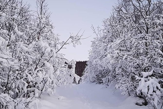 Snowshoeing With A View - Key points to know before you go